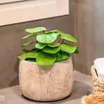 公寓 Citrus Garden Chalkís