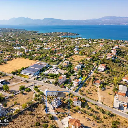 Citrus Garden * Chalkida